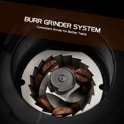 150g Custom Electric Portable Coffee Grinder Removable Upper Burr 19 Grind Selections